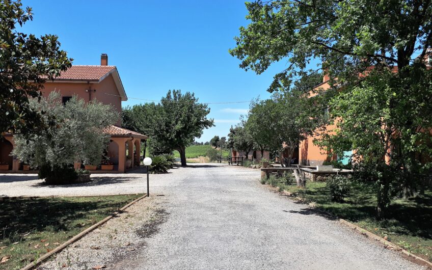 Borgo Antico & Azienda vinicola avviata