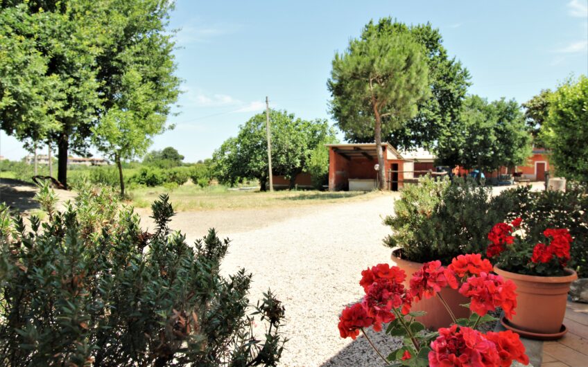 Borgo Antico & Azienda vinicola avviata